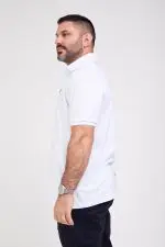 ⁦רפאל - פולו פיקה קצר⁩ – תמונה ⁦4⁩